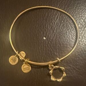 Alex and Ani Crown 👑 Gold Charm Bracelet